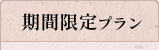 期間限定プラン