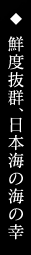 鮮度抜群、日本海の海の幸
