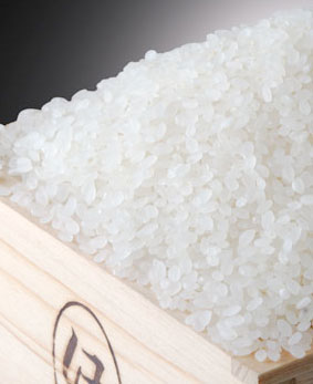 鳥取産こしひかり