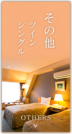 その他ツインシングル