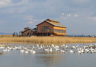 米子水鳥公園