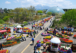 とっとり花回廊