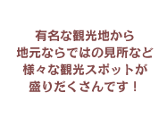 有名な観光地から地元ならではの見所など様々な観光スポットが盛りだくさんです！