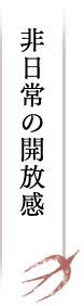 非日常の開放感